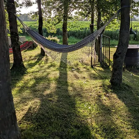 Slane Concert - Riverside Glamping خيمة فخمة